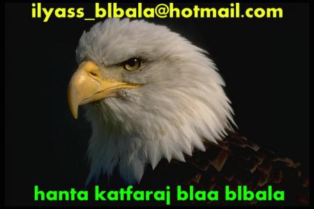 blbala